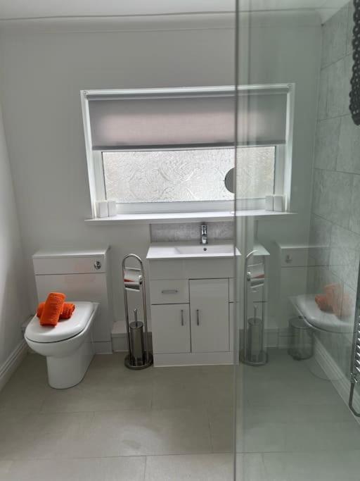 Town Centre Studio Flat Merthyr Tydfil Eksteriør bilde